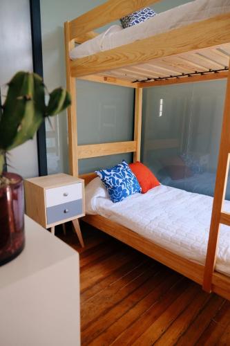 a bedroom with two bunk beds and a potted plant at Habitación privada en el corazón de la colonia Roma in Mexico City