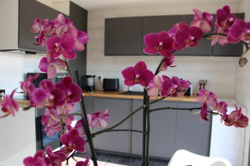 un bouquet de fleurs d'orchidées violettes dans une cuisine dans l'établissement Comme Au Jardin, à Arenthon