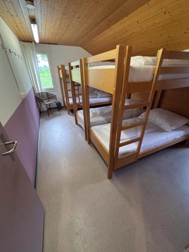 a room with three bunk beds in a cabin at Strandbad Steckborn mit Herberge, Camping & Glamping in Steckborn