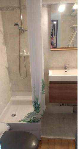 une salle de bain avec douche et lavabo dans l'établissement Appartement T2 avec piscine, proche de la plage et du Port, à Gruissan
