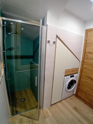 a small bathroom with a glass door next to a washing machine at Appartamento Miele di Pino in Ziano di Fiemme