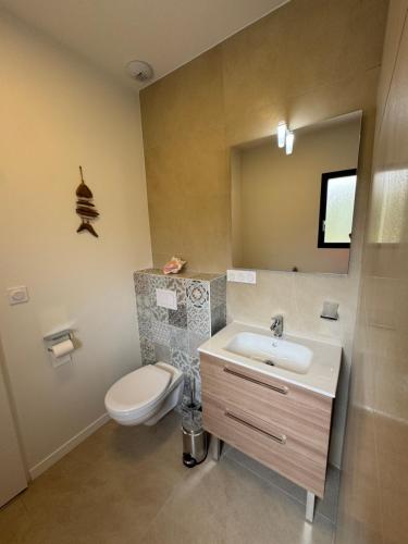 une salle de bain avec toilettes, lavabo et miroir dans l'établissement VILLA SOULAC ENTRE FORET ET OCEAN, à Soulac-sur-Mer