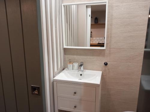 une salle de bain avec un lavabo et un miroir dans l'établissement Grand libérateur, à Crouay