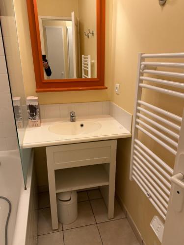 une salle de bain avec un lavabo et un miroir dans l'établissement Charmant appartement T2 en rez de jardin terrasse face mer 4 personnes, à Les Sables-dʼOlonne
