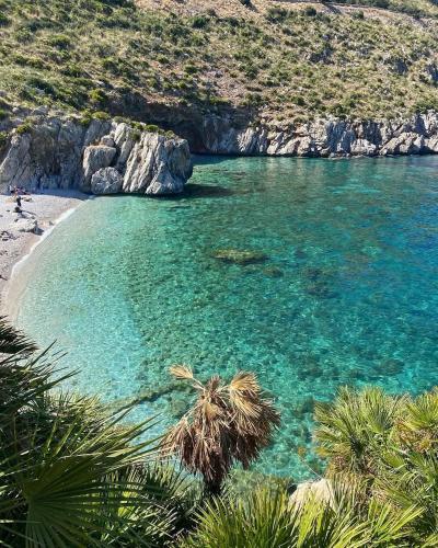 a beach with turquoise water and palm trees at Terra d'amare in Castelluzzo