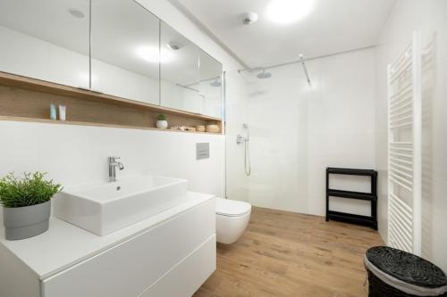 ポビエロボにあるApartment in Pobierowo near Baltic Beachの洗面台とトイレを備えた白いバスルーム