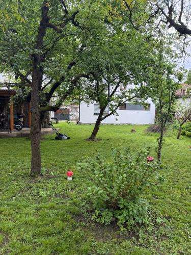 Zahrada ubytování Apartments and Rooms MN, Konjic