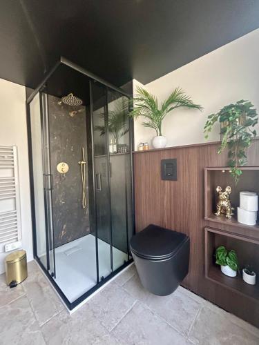 La salle de bains est pourvue d'une douche et de toilettes noires. dans l'établissement Mon duplex, à Cherbourg en Cotentin