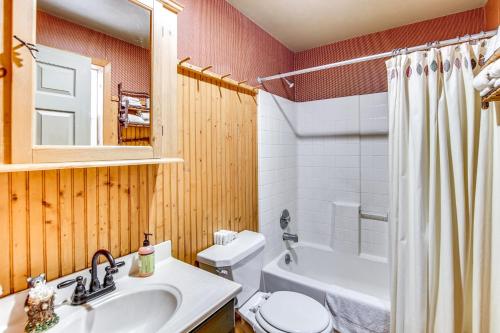 a bathroom with a sink and a toilet and a shower at 1 Mi to Lake Easton Cozy Cascades Cabin! in Cabin Creek