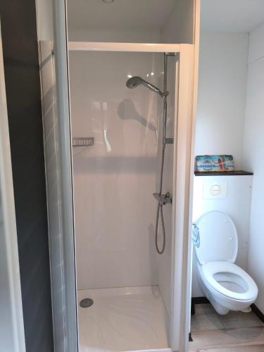 une salle de bain avec douche et toilettes dans l'établissement MH 462 Les dunes de Contis 2 chambres et 2 salles de bains dans camping 4 étoiles, à Saint-Julien-en-Born