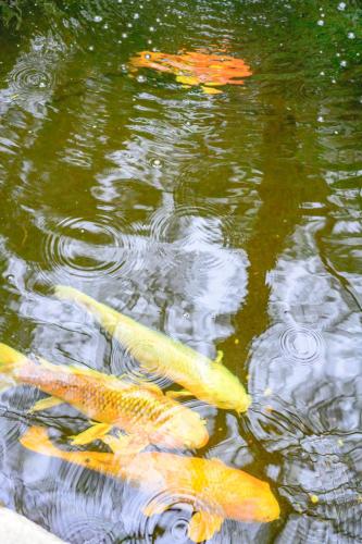 Permandangan sungai dekat dengan rumah percutian