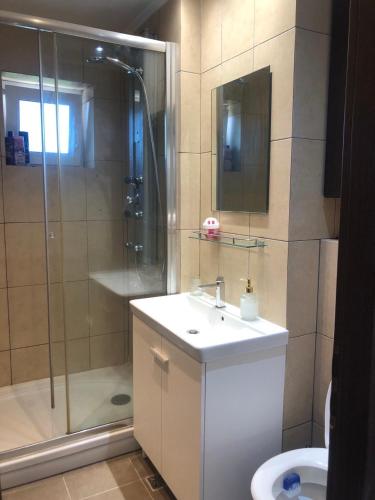 a bathroom with a shower and a sink and a toilet at Central Hill Reșița in Reşiţa