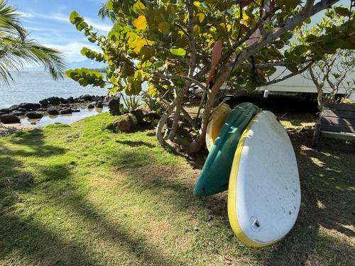 a couple of surfboards sitting next to a tree at Bungalow les pieds ds l eau, La Maison Bleue in Moorea