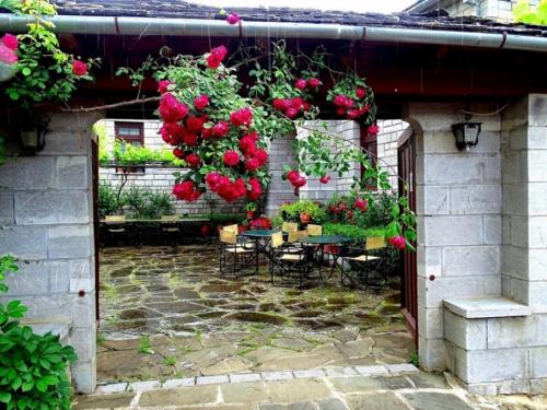 Zahrada ubytování Hotel Papigo AE
