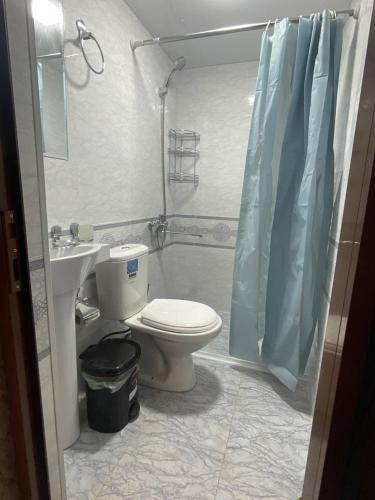 a bathroom with a toilet and a sink and a shower at Anoras home in Samarkand