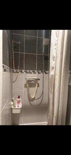 La salle de bains est pourvue d'une douche avec rideau de douche. dans l'établissement Charmant 2 pièces à Arcueil Calme, tout équipé RER B, Maison des Examens, à Arcueil