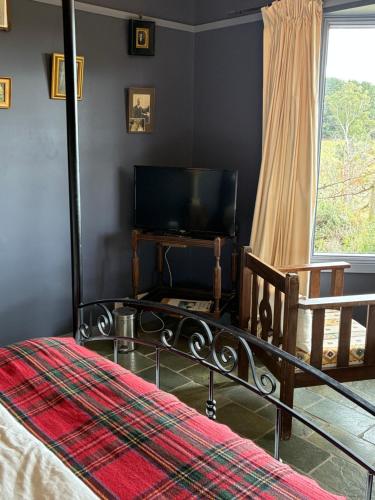 TV a/nebo společenská místnost v ubytování Springmead B&B