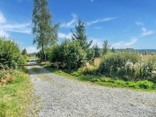 a gravel road with trees and bushes on either side at Ardennes Stay for 21 Guests in Stavelot