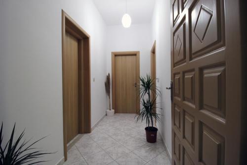 a hallway with a door and a potted plant at Central Villa Shameti in Ksamil