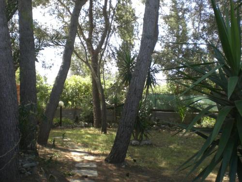 Foto dalla galleria di Casa Vacanze La Pineta a Taviano