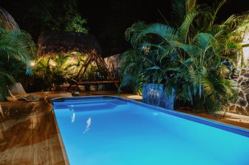 a blue swimming pool in a room with plants at Kasakolà in Palomino