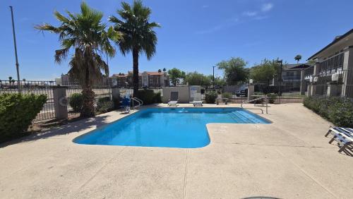 a swimming pool in a yard with palm trees at Hotel Rising in Phoenix