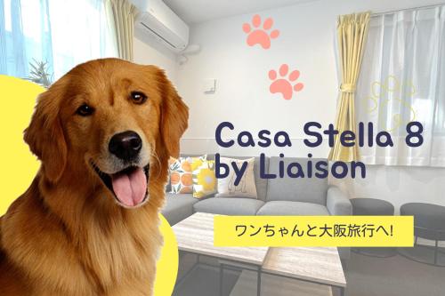 a brown dog is sitting in a living room at Casa Stella 8 by Liaison カーサステラ8 byリエゾン in Osaka