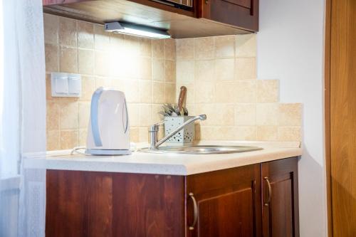 a kitchen sink with a toaster on top of it at Pokoje Gościnne Na Szlaku in Krościenko