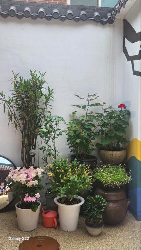 Ein Garten an der Unterkunft Gilgaon Hanok Stay