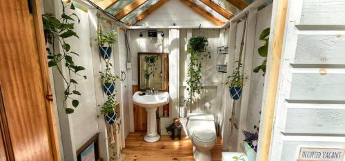 a bathroom with a sink and some plants on the walls at Stabbin Cabin #2 on Grant Island - Hot Tub, Boat, Pet Friendly in Glenfield