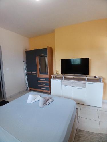 a bedroom with a bed and a flat screen tv at Les studios de l'Ouest in Saint-Laurent du Maroni