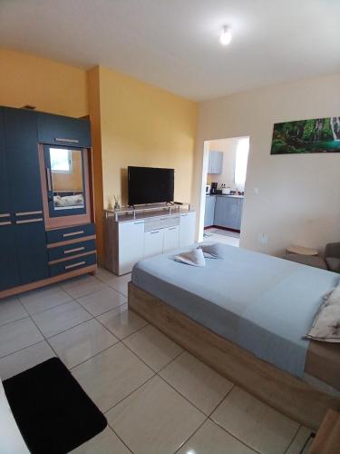 a bedroom with a large bed and a television at Les studios de l'Ouest in Saint-Laurent du Maroni