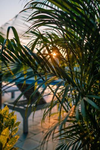 Un jardín fuera de Hotel Parkside & Swimming Pool-Between Greenery and Azure ,Your Perfect Retreat