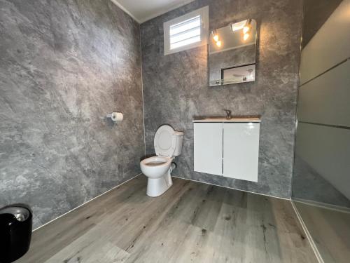 a bathroom with a toilet and a sink at Les Bungalows du Sud 1 in Saint-Pierre