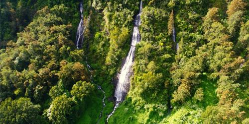 an aerial view of a forest with a waterfall at Ô refuge d'l'bourg in Salazie