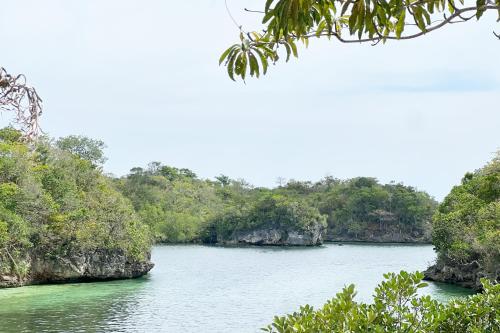 a view of a river with trees in the background at La Puerta Al Paraizo Guimaras powered by Cocotel in Guimaras