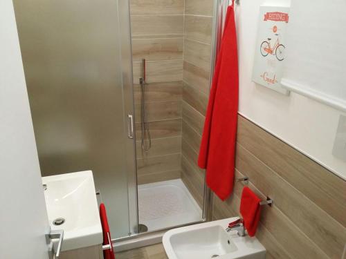 a small bathroom with a shower and a sink at Folco Studio Apartment in Piazza Armerina