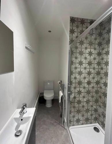 a bathroom with a toilet and a sink and a shower at Westfield Town-House Free Parking, Secure Garden in Caversham
