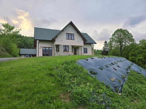 a house on top of a grassy hill at BIESCZADNIK in Polańczyk