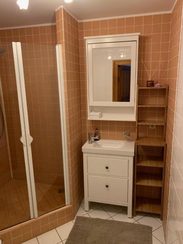 a bathroom with a sink and a shower and a mirror at Nordes in Ragaciems