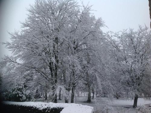 a group of trees covered in snow at Chambres d'Hôtes Belle Vallee in Domfront