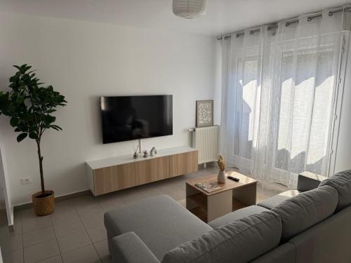 un salon avec un canapé et une télévision dans l'établissement Cosy apartment near Paris, à Montigny-lès-Cormeilles