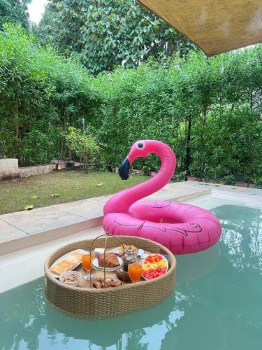 a pink swan float in a pool with a bowl of food at Avhyay Resort in Māndvi