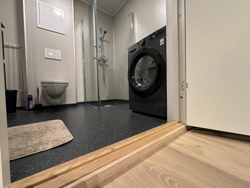 オーレスンにあるÅlesund Campus Apartmentsのバスルーム(洗濯機、トイレ付)