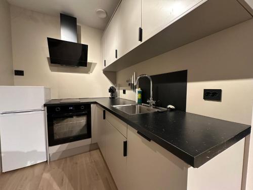 オーレスンにあるÅlesund Campus Apartmentsのキッチン(黒いカウンタートップ、シンク付)