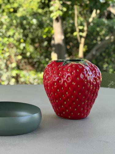a red strawberry sitting next to a computer mouse at Meliora Suites in Drapaniás