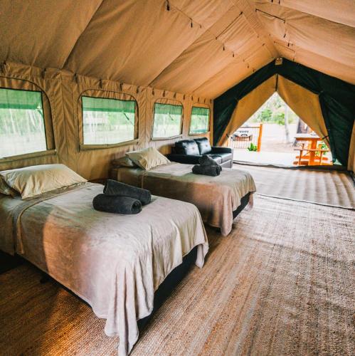 a bedroom with two beds in a tent at Rossville Retreat in Rossville