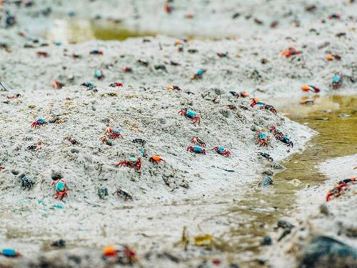 Galería fotográfica de Shitha Inn en Hithadhoo