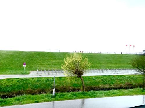 ビューズムにあるSmöögsch Lagune Büsumの畑の真ん中に一時停止の標識がある道路