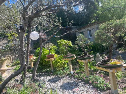 Imagem da galeria de Lou Pero Mousco em Saint-Paul-en-Forêt